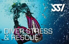 Presentation Diver Stress & Rescue