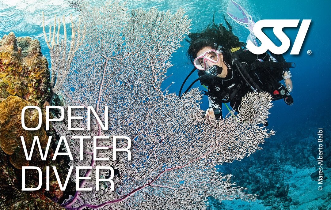 Presentation Open Water Diver