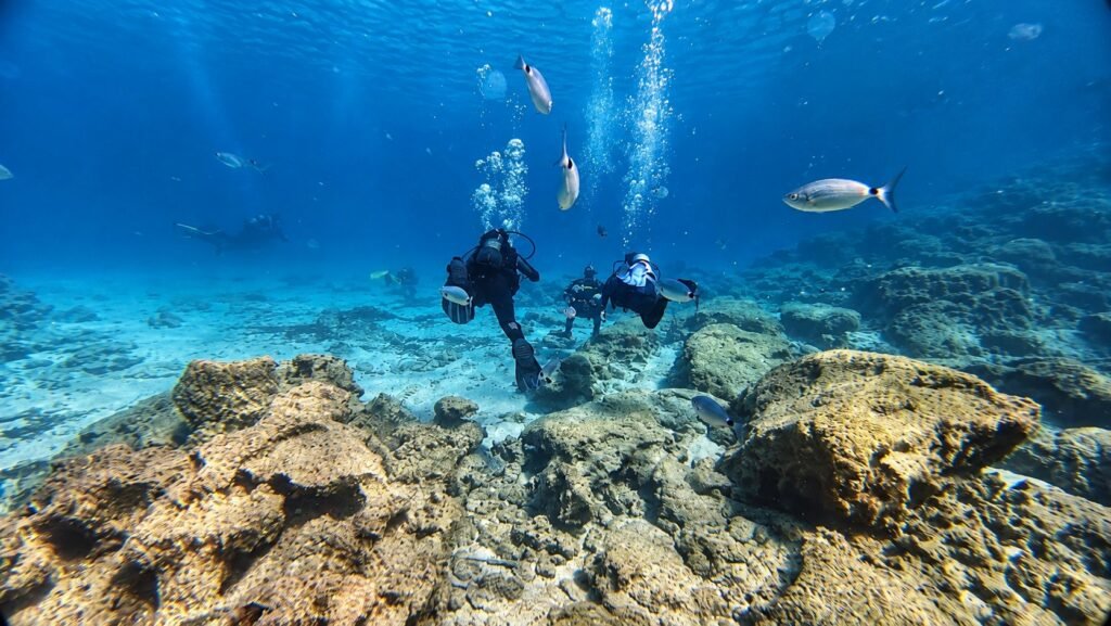 2 Local Shore Dives