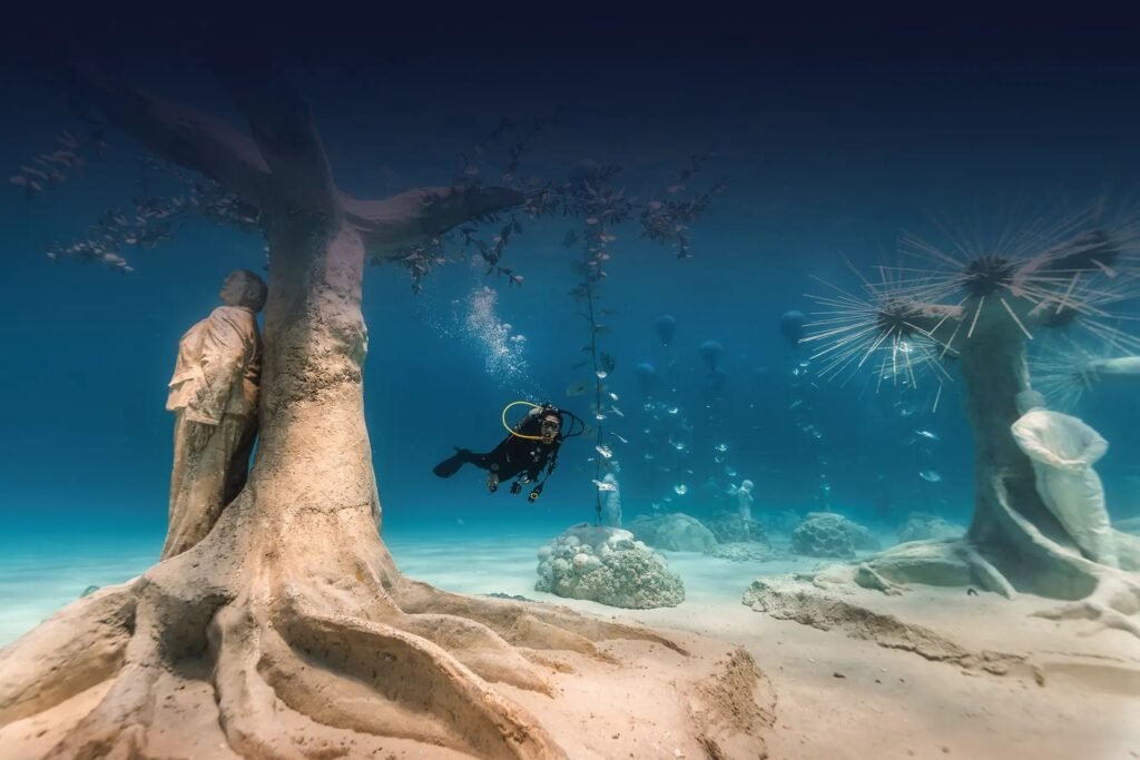 Discover Scuba + MUSAN
